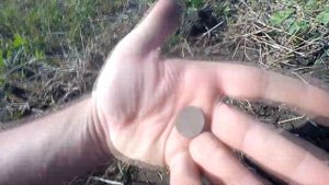 10.06.19 Жаркий коп по липецкой области