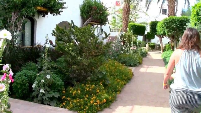 Египет. Хургада. Сафага. Отель Lotus Bay Beach Resort 4*