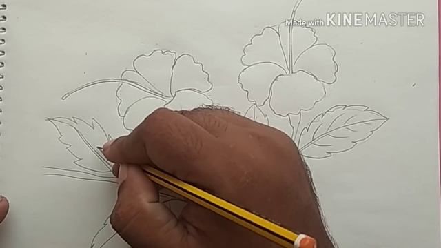 Haw to draw hibiscus flower for beginners ( very easy) смотреть онлайн