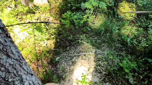 Как спилить дерево? Расчищаем площадку под фундамент! смотреть онлайн