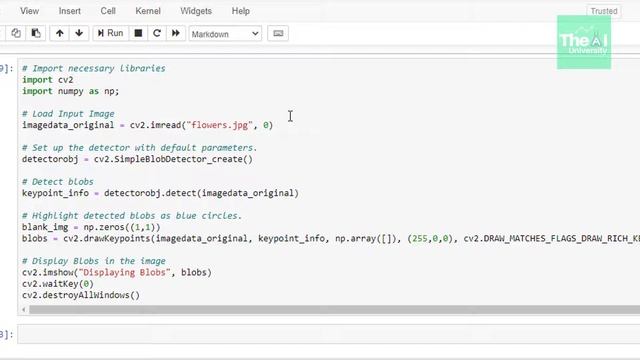 What is Blob & how to detect the Blobs using Python OpenCV ?