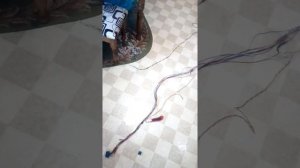 Замена жгута КПП даф-105