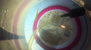 Первый этап разведения креветок амано./The first stage of breeding amano shrimp.(English subtitles)