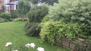 Сад ландшафтного дизайнера Алёны Колесник.