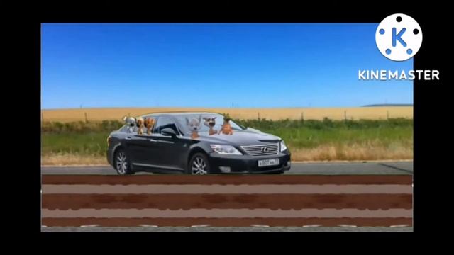 Озорная семейка За Нами Гонитя Милиция Нормальный Версион смотреть онлайн