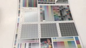 Xerox Color 1000i Digital Press Laser Production Printer