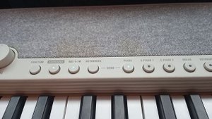 Walking in the Air - Cover version - by Ant77 🎹☺️ Casio CTS1.