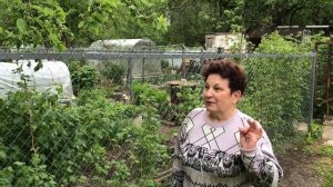 Забор из сетки рабица отзыв Заборный мастер в Иваново.