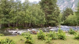 АЛТАЙ. 10 день. Село Балыкча. Маленькие алтайцы. Чулышманская долина. Телецкое озеро. 7.07.23