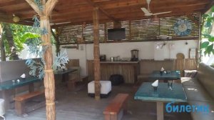 Обзор отеля Dive Villa на острове Тодду (Мальдивы)