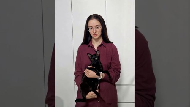 Фото история как росла Флэмичка 🐈⬛ её котята доступны к бронированию 89680383838 #ориенталы