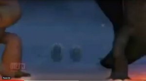 Dreamworks Dragons Riders of Berk Cinematic animation SD