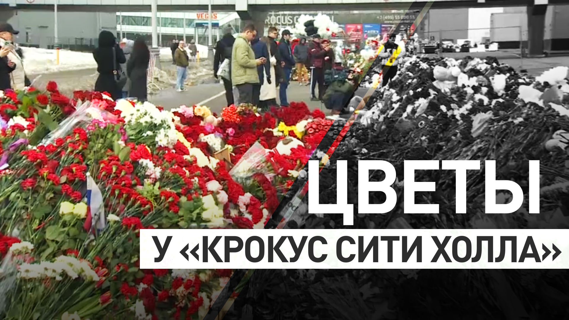 В память о погибших: москвичи и гости столицы несут цветы к «Крокусу»