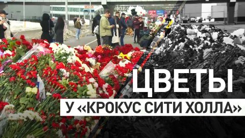 В память о погибших: москвичи и гости столицы несут цветы к «Крокусу»