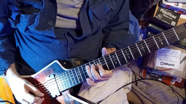 i brought out the Modified Hybrid Schecter Damien elite 7 Floyd Rose/ML ..+ made a tune up for Fun смотреть онлайн