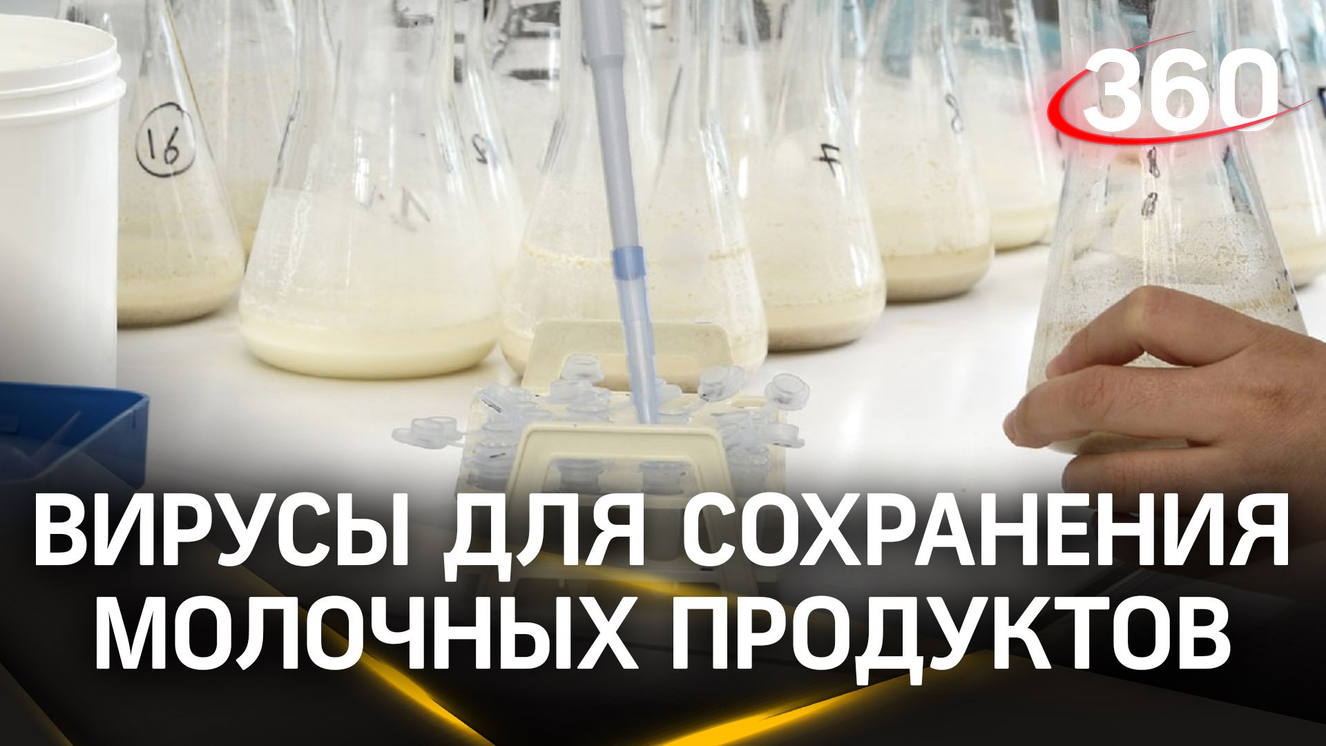 Микробиологии из Пущина предложили новый способ консервации молока