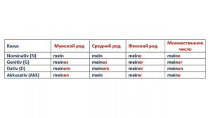 Притяжательные местоимения в немецком языке