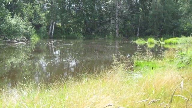 Рыбалка на берегу Алексинского карьера. смотреть онлайн