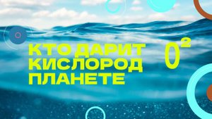 Кто дарит кислород планете