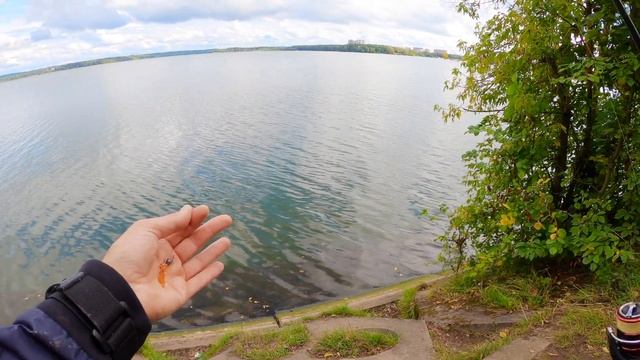 МИКРОДЖИГ на СЕНЕЖЕ. Окунь, щука и судак с берега.