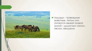 урок 37 Сельскохозяйственные животные лошади  природоведение 6 кл