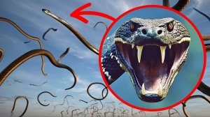 50+ фактов для любителей тайн, в которые трудно поверить