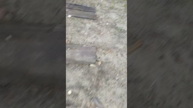 ж/д развилка и ж/д автоматическая Развилка смотреть онлайн