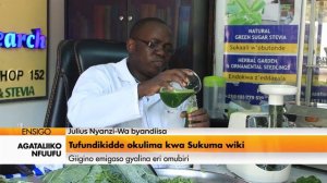 Agataliikonfuuufu: ENSIGO: Tufundikidde okulima kwa Sukuma Wiiki.