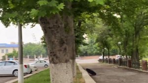 Канал «Анхор» The "Anchor" Canal Tashkent