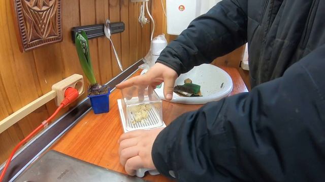 Обычный зимний денёк. Дачный будень #32 смотреть онлайн