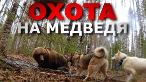 🐻 БОЛЬШОЙ И КРЕПКИЙ МЕДВЕДЬ. Добираем подранка. Охота на медведя с лайками