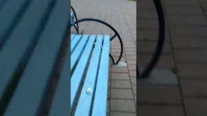 Весёлые прилипалы 4, только в дикси!!!!