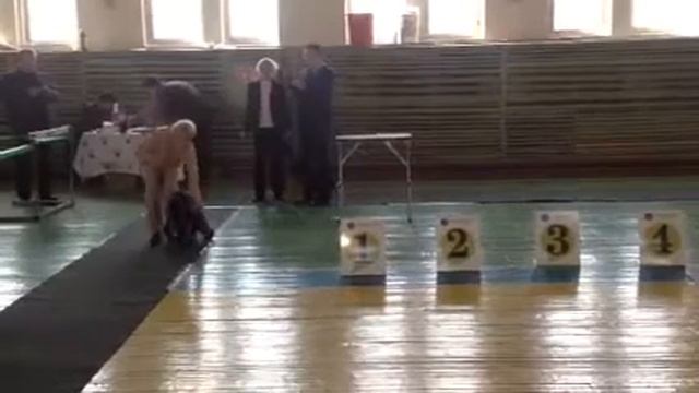 Выставка 12.04.14, эксперт Седых смотреть онлайн