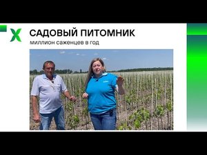 Садовый питомник / Миллион саженцев в год