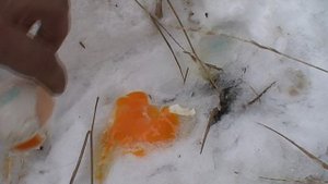 Белые дороги Крака дек 13