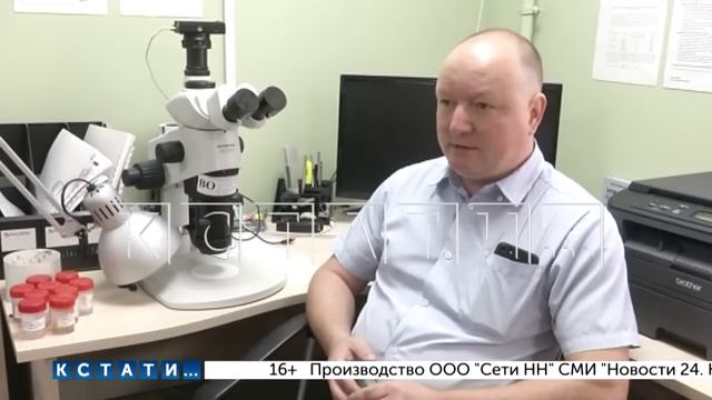 Нашествие клопов на городские дома энтомологи объяснили быстрой весной смотреть онлайн