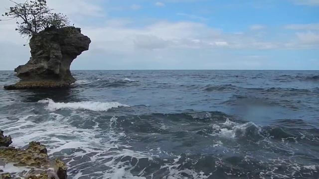 Nikon AW100 HD Video Test @ Costa Rica смотреть онлайн