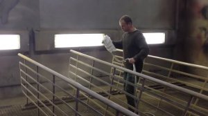 Окраска ограждений в электростатическом поле. GRACO