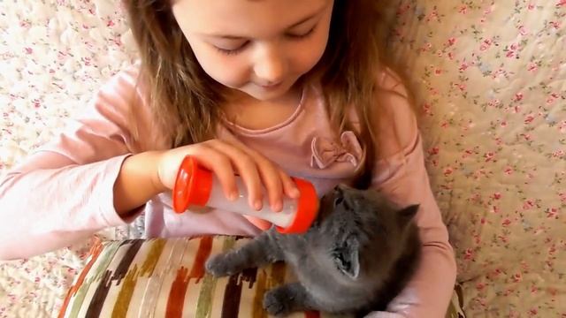 Даша как мама кормит котенка из бутылочки смотреть онлайн