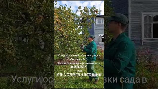 Заказать услуги осенней обрезки садовых деревьев в Москве и МО по т. 84956695223