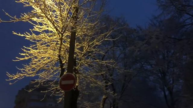 Снежно, пушисто, уютно... Гатчина, улица Хохлова. 18.11.2016, 08:25 смотреть онлайн