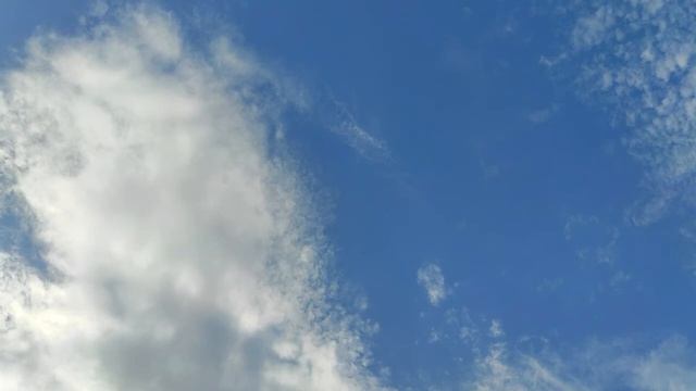 Народные приметы о синичках. К чему синичка стучит смотреть онлайн