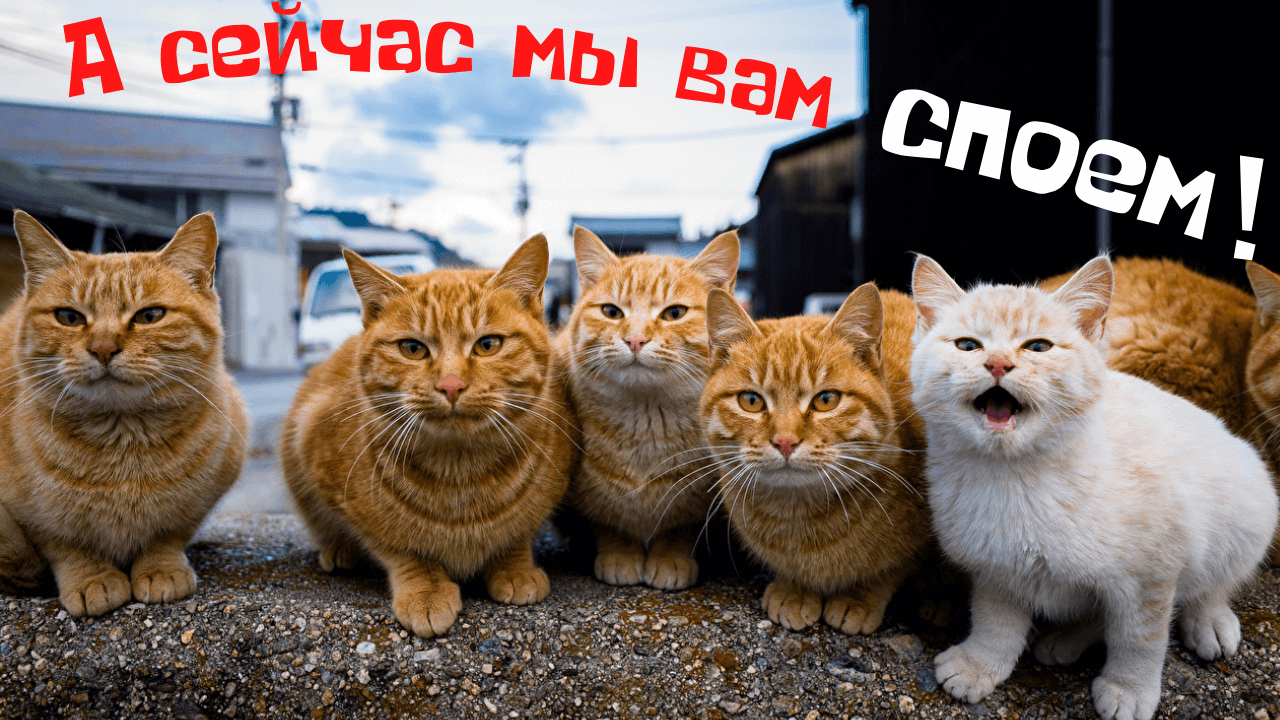 А сейчас мы вам споем!