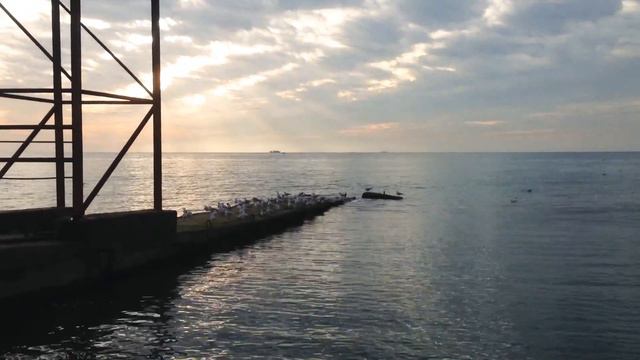 Чайки парами смотреть онлайн