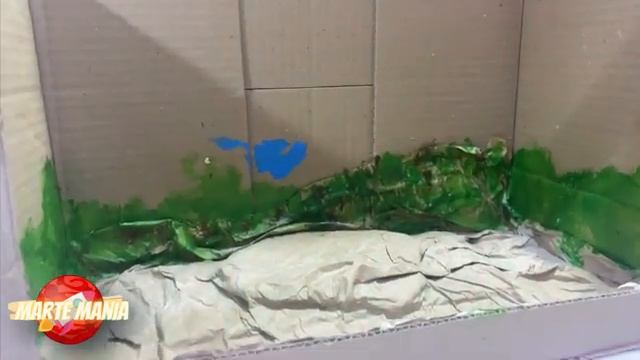 PECERA DE CARTÓN Maqueta de una pecera de cartón