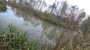 ЛОВЛЯ ЖИВЦА ПРИ ПОМОЩИ ПОДЪЁМНИКА !!!  ПРОБИРАЕМСЯ ЧЕРЕЗ БОЛОТО !!! ЛОВЛЯ НА МАЛЯВОЧНИК!!!