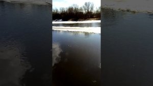 Апофеоз весны. Ледоход на реке Лобва Свердловской области 21 апреля 2022 года.