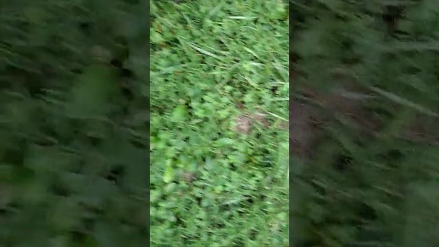 Suzuki 90 смотреть онлайн