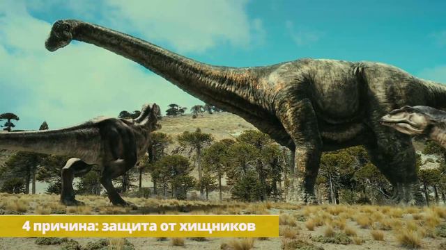 Аргентинозавр - гигантский динозавр из мелового периода!