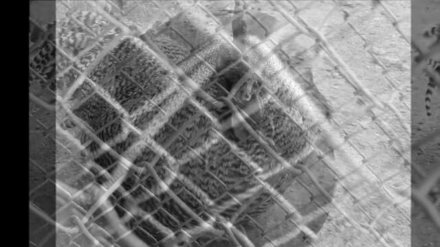 Люди, откройте глаза! смотреть онлайн